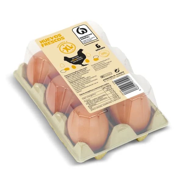Huevos frescos categoría A clase XL Dia bandeja 6 unidades - 6 ud - Imagen del producto en Findit